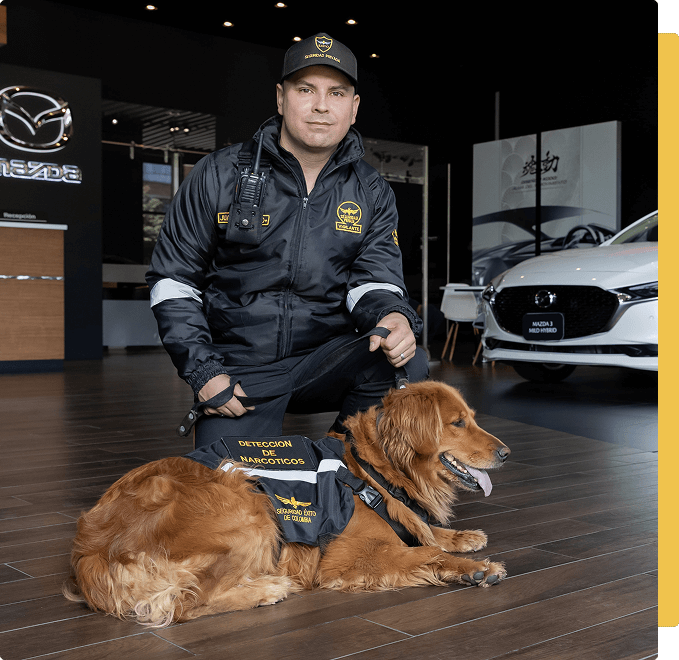 imagen perro con guardas de seguridad