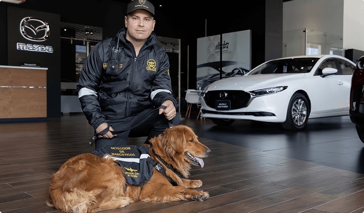 imagen seguridad con can