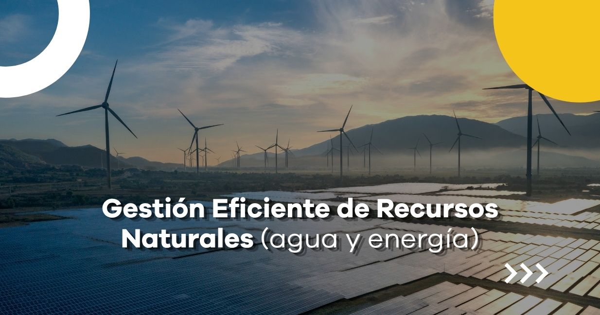Gestión Eficiente de Recursos Naturales (agua y energía).